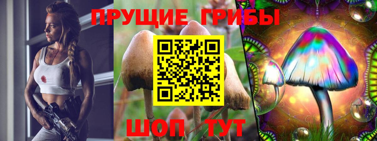 Псилоцибиновые грибы мухоморы Воркута